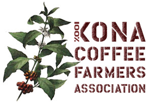 KCFA horiz logo